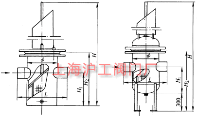 籃式過濾器主要外形及結構尺寸示意圖
