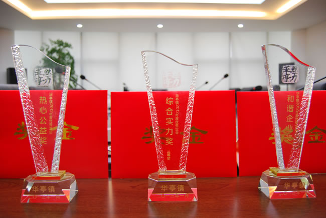 公司榮獲華亭鎮(zhèn)2012年度優(yōu)秀企業(yè)三項(xiàng)大獎(jiǎng)獎(jiǎng)杯