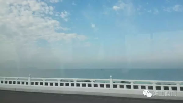 上海滬工閥門廠2016年秋季徒步毅行活動(dòng) 圖28