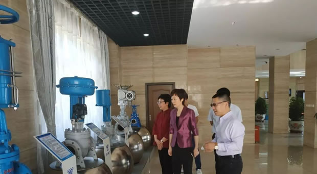 上海市嘉定區委常委、副區長董依雯參觀公司展示廳